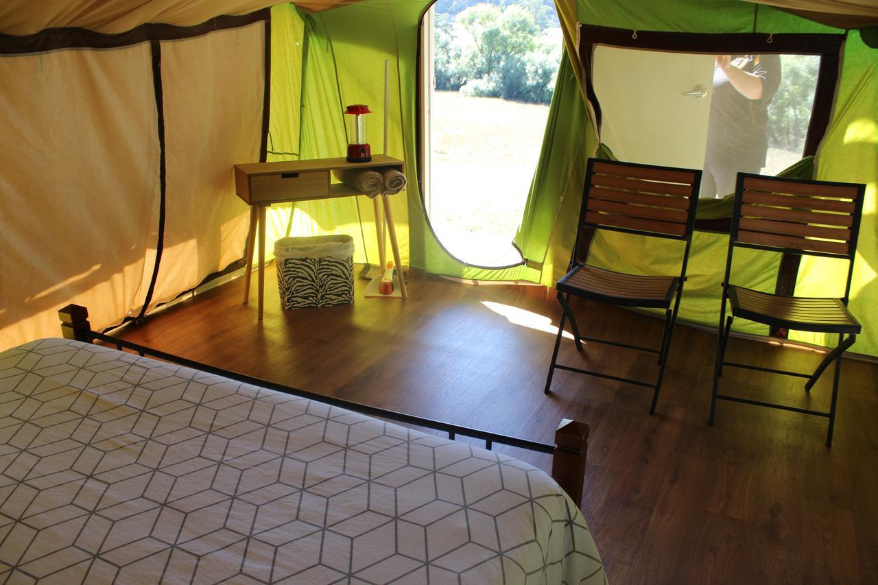 Wonky Stables Holiday Park Forrest Luaran gambar