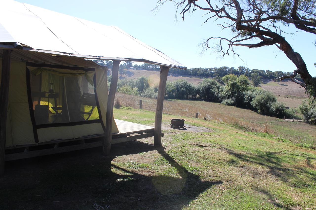 Wonky Stables Holiday Park Forrest Luaran gambar