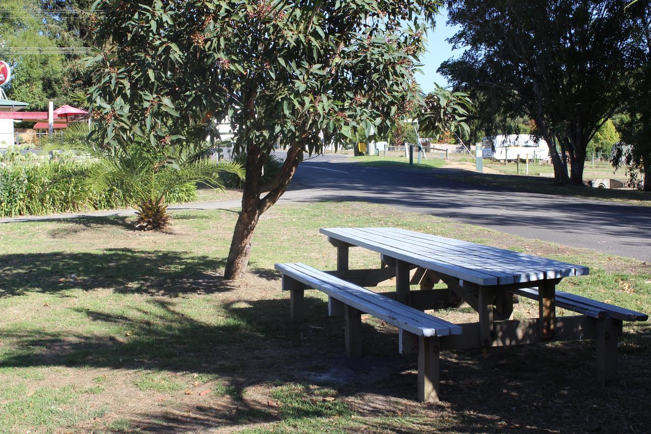 Wonky Stables Holiday Park Forrest Luaran gambar