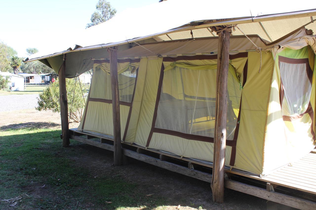 Wonky Stables Holiday Park Forrest Luaran gambar