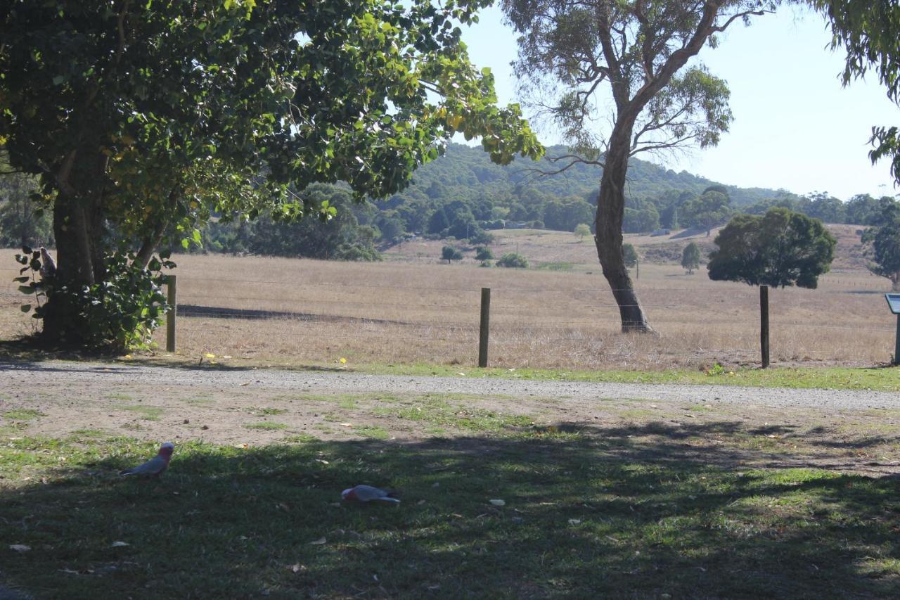 Wonky Stables Holiday Park Forrest Luaran gambar